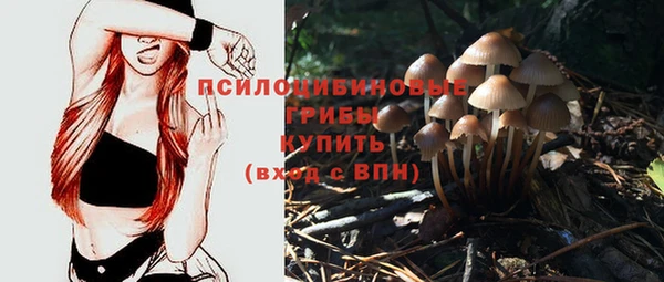 spice Абаза