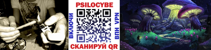 купить закладку  Усть-Кут  Псилоцибиновые грибы мицелий 